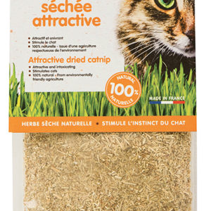 Poudre d'herbe à chat traiter séché haute puissance pour les
